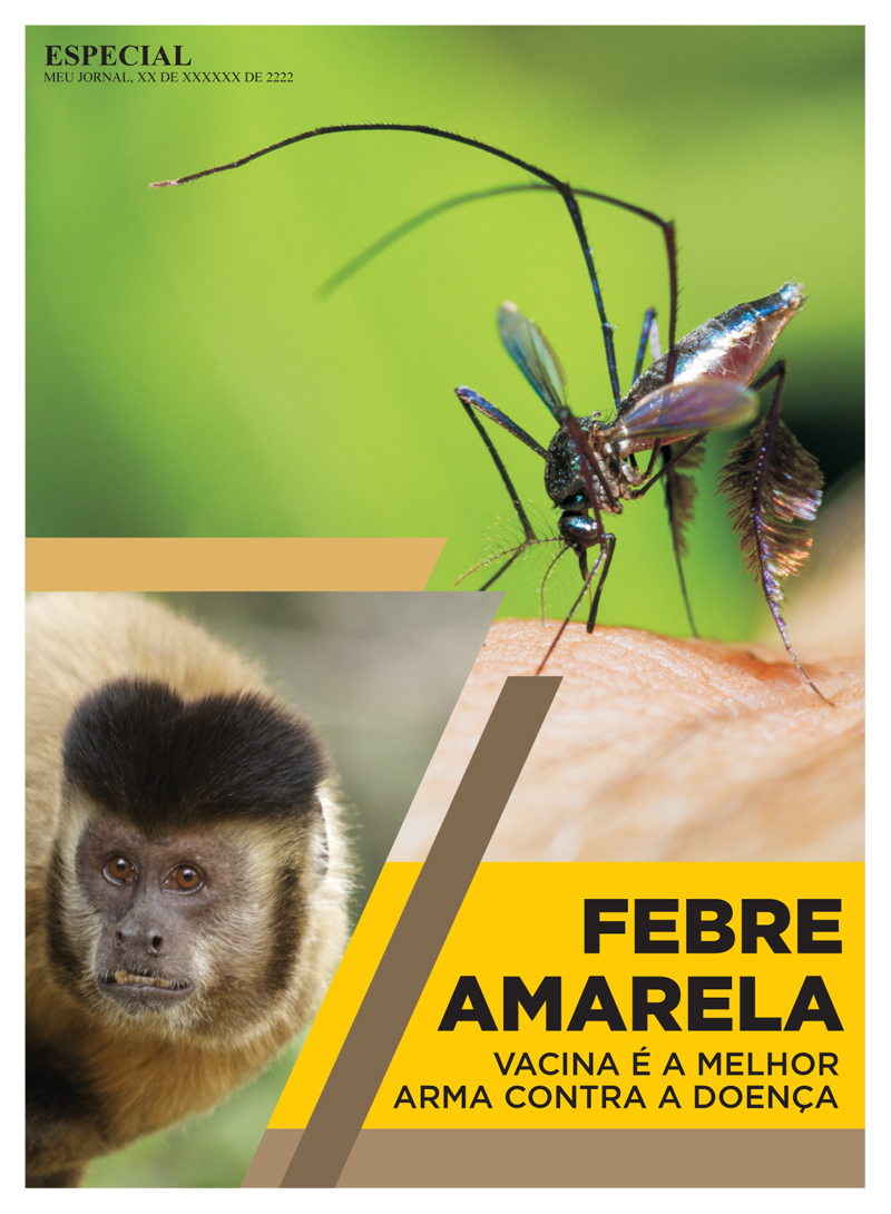 Febre Amarela - Imagem 2