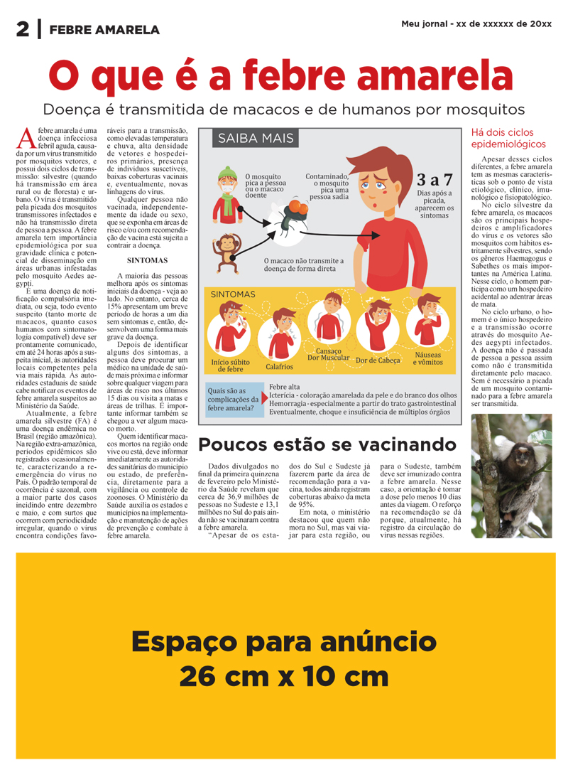 Febre Amarela - Imagem 3