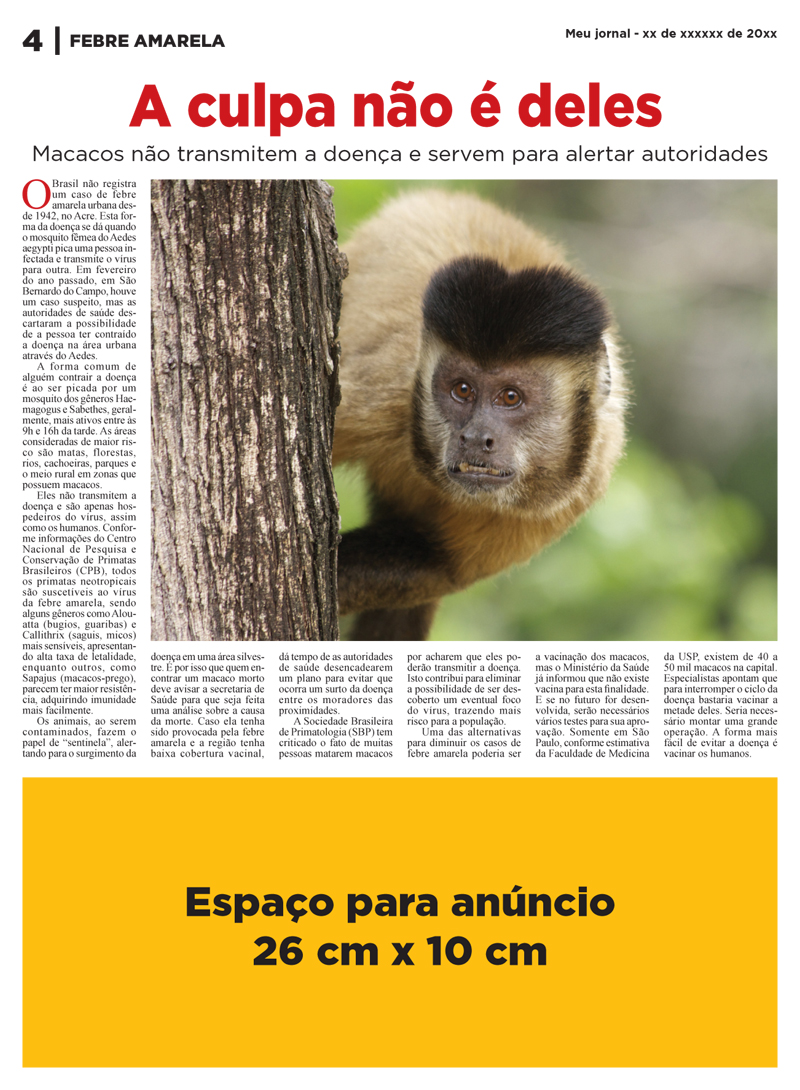 Febre Amarela - Imagem 5