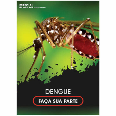 Caderno da Dengue 24/25